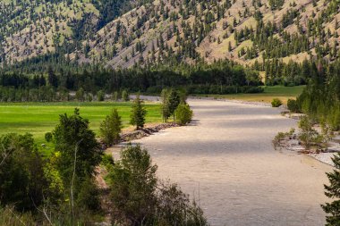 Yaz günü dağ nehri deresi. Dağlarla, ormanlarla ve önünde bir nehirle manzara. Kanada Parkı 'nın güzel manzarası. Seyahat fotoğrafı, hiç kimse, seçici odak