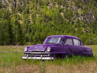 Kanada 'daki yaz parkındaki tepede terk edilmiş bir kır arabası. Sahada eski model bir araba. Hiç kimse, seçici odak, seyahat fotoğrafı - 6 Haziran 2022-Princenton British Columbia