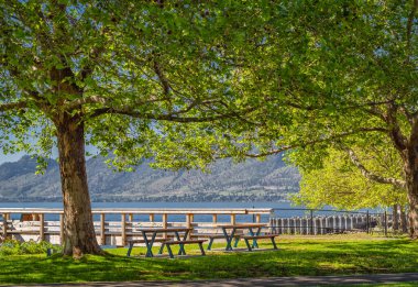 M.Ö. Kelowna 'daki Okanagan Gölü plajında yaz günü. Sahildeki ağaçlı ve banklı manzara. Güneşli bir günde Okanagan Gölü 'nden manzara. Seyahat fotoğrafı, hiç kimse, seçici odak