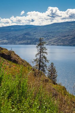 Kelowna yakınlarındaki Okanagan Gölü İngiliz Kolombiyası Kanada manzarası. Okanagan Gölü 'ndeki güzel yaz manzarası. Seyahat fotoğrafı, hiç kimse, metin için alanı kopyala