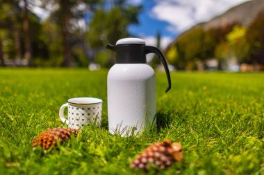 Yeşil çimlerin üzerinde yaz pikniği. Açık hava pikniğinde fincanlı çaydanlık termosu mavi gökyüzünde bir parkta ve arka planda bulutlar. Sokak manzarası, seyahat fotoğrafı, kimse yok..