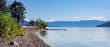 Güzel bir yaz sabahı, Okanagan Gölü, Kanada 'da sakin bir göl kıyısındaki ahşap iskele. Seyahat fotoğrafı, hiç kimse, metin için alanı kopyala