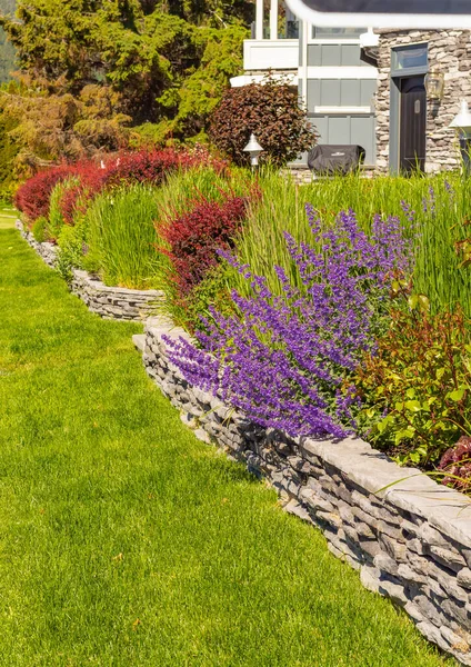 Bloemenbed Residentail Gebied Landscaping Een Stadspark Straatbeeld Reisfoto Selectieve Focus Rechtenvrije Stockfoto's