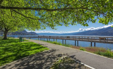 Parkta yeşil ağaçlar ve sabah güneşi. Okanagan Gölü 'nün yanındaki güneşli güzel yaz parkı. Seyahat fotoğrafı, hiç kimse, seçici odak.
