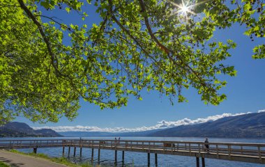İnsanlar yaz parkında yürüyor. Güneşli bir sabahta parkta güzel bir ara sokak. Yeşil bir parkta yürüyen yaşlı insanlar. Peachland BC Kanada-Haziran 7. 2022-Seyahat fotoğrafı, aktif yaşlanma, yaz tatili konsepti