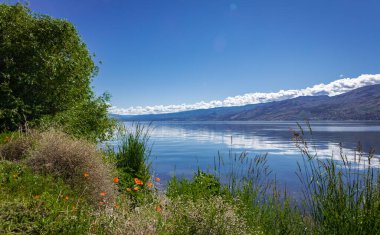 Okanagan Gölü Kanada. Yaz manzaralı bir göl ve sabahın erken saatlerinde arka planda dağlar. Rahatlamayı kabul et. Turistler ve doğa yürüyüşleri için mükemmel bir yer. Seyahat fotoğrafı, hiç kimse, kopyalama alanı