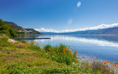 Okanagan Gölü Kanada. Yaz manzaralı bir göl ve sabahın erken saatlerinde arka planda dağlar. Rahatlamayı kabul et. Turistler ve doğa yürüyüşleri için mükemmel bir yer. Seyahat fotoğrafı, hiç kimse, kopyalama alanı