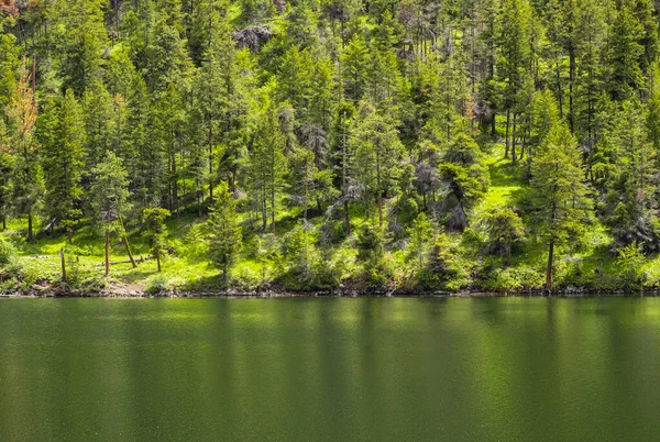 Reflet Des Arbres Ciel Dans Lac Calme Lac Forestier Été — Photo