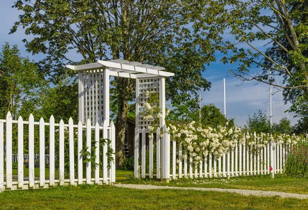 Garden gate with White Picket Fence and white roses. Romantic photo for wedding background. Nobody, selective focus