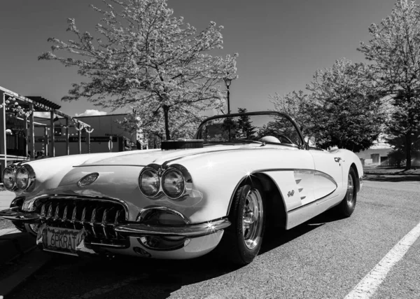 1959年古董车Corvette Convertible在夏季公园 前面的景色复古雪佛兰科维特经典出租车 2022年6月7日 Bc加拿大桃地 旅行照片 古董车概念 — 图库照片