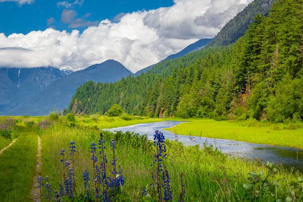 Ландшафт Горами Лісом Річкою Попереду Чудовий Літній Краєвид Scenic View — стокове фото