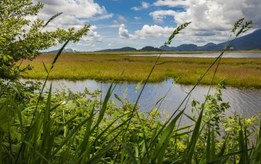 Güneşli yaz gününde güzel manzaralı bir göl ve dağlar. Yazın Göl ve Dağ manzarası. seyahat fotoğrafı, hiç kimse, seçici odaklanma. Pitt Gölü İngiliz Kolombiyası