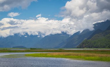 Dağlarla, ormanlarla ve önünde bir nehirle manzara. Güzel bir yaz manzarası. Kanada Bölgesel Parkı Grand Narows, Pitt Gölü 'nde manzara. Seyahat fotoğrafı, hiç kimse, seçici odak