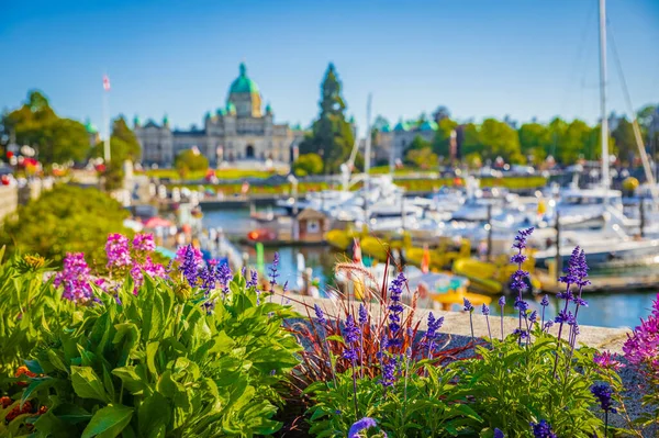 Victoria British Columbia Canada Wazige Foto Victoria Harbour Parlement Gebouwen — Stockfoto
