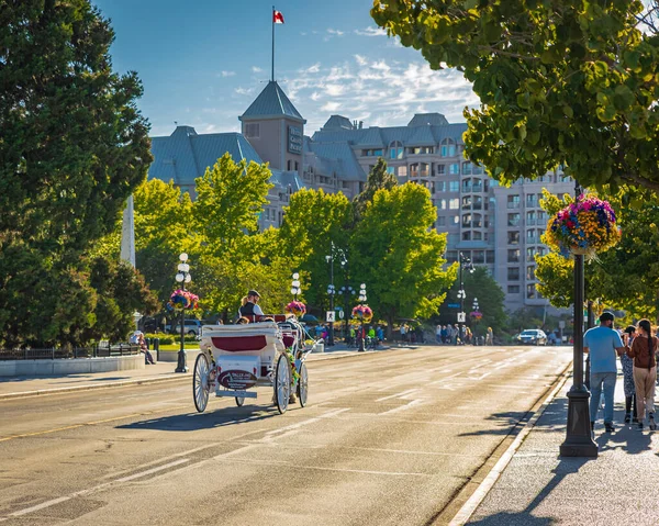 Carriage Ride Victoria Canada Sunset Horse Drawn Carriage Tourists Passes — Stockfoto