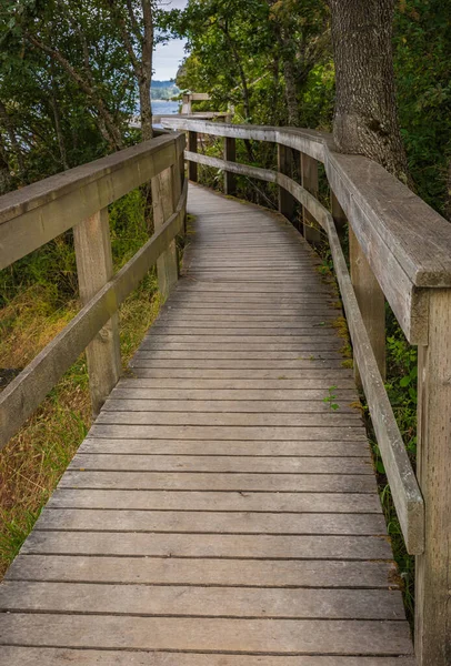 Eco Path Wooden Walkway Park British Columbia Vancouver Island Ecological — Stok Foto