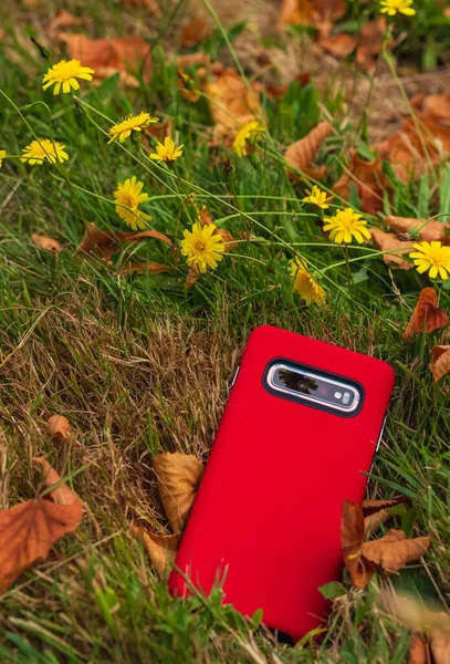 The phone is in a red cover on a grass. Cellphone in red case isolated on natural background. Nobody, selective focus
