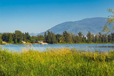 Beautiful landscape of a blue water pond, lake with forest and mountains in British Columbia, Canada. Nobody, copy space for text