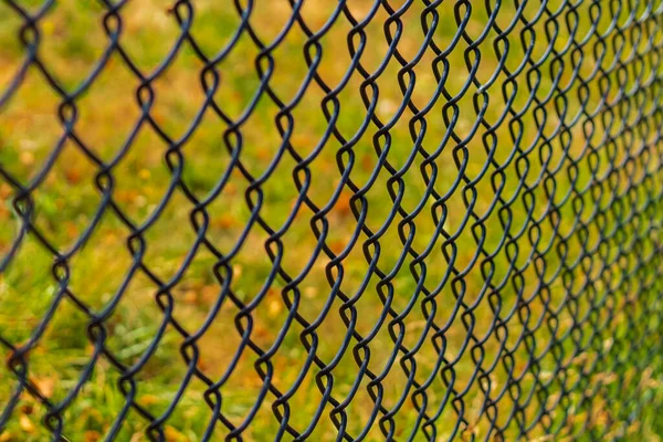 Fence with metal grid in perspective. Metal chain-link fence on a background of green grass close-up, nobody