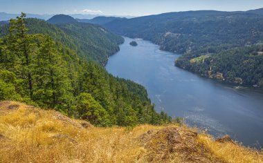 Beautiful view of the Saanich inlet and gulf islands from the Malahat summit at summer day in Vancouver Island BC Canada. Nobody, travel photo, selective focus