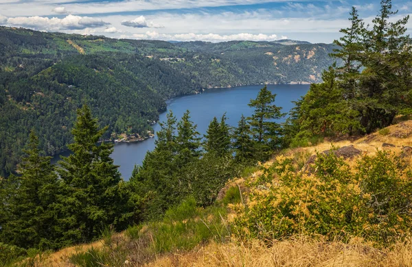 Beautiful view of the Saanich inlet and gulf islands from the Malahat summit at summer day in Vancouver Island BC Canada. Nobody, travel photo, selective focus