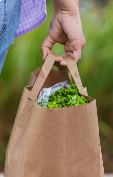 Carrying a healthy bag. Cropped image of a woman holding paper shopping bag full of fresh vegetables. Grocery bag with Fresh and healthy groceries in a woman hand. Blurred, selective focus, copy space