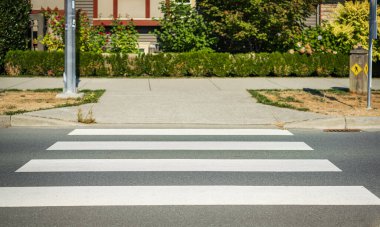 Zebra geçiyor. Zebra trafiği caddede yürüyor. Yaya geçidi, asfalt yol manzaralı. Hiç kimse, sokak fotoğrafı.