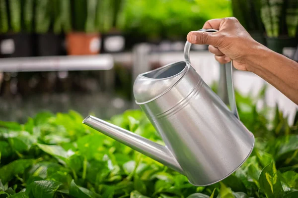 Hand holding watering can in the natural background in garden. Man waters vegetable garden with watering can. Concept of gardening. Nobody, blurred, selective focus