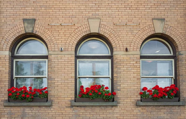 Three vintage windows with stone frames and flowers on shelf. Three Arch Windows Old House with red flowers. Nobody, selective focus, street photo