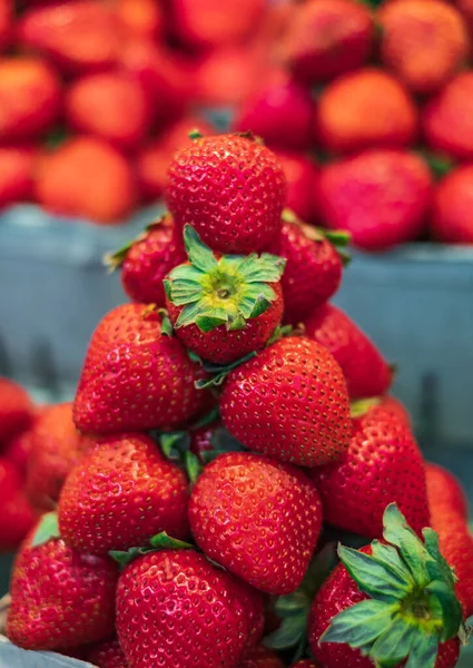 Harvest strawberries. Packing strawberries in boxes for sale. Fresh red strawberry berries in a local market. Organic and fresh strawberries in farmer market. Nobody, selective focus