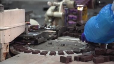 Çikolata fabrikasında şeker üretimi ve ambalajı için sıra. Şeker üretimi. Şeker fabrikası. 