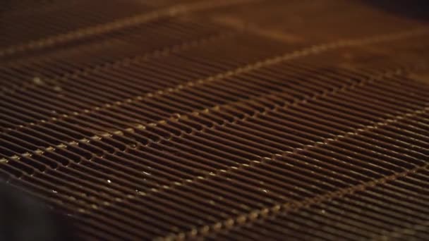 Fabbrica Caramelle Versare Cioccolato Una Fabbrica Caramelle Produzione Cioccolatini Fabbrica — Video Stock