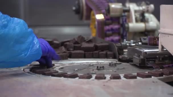 Línea Para Producción Envasado Dulces Una Fábrica Chocolate Producción Dulces — Vídeo de stock