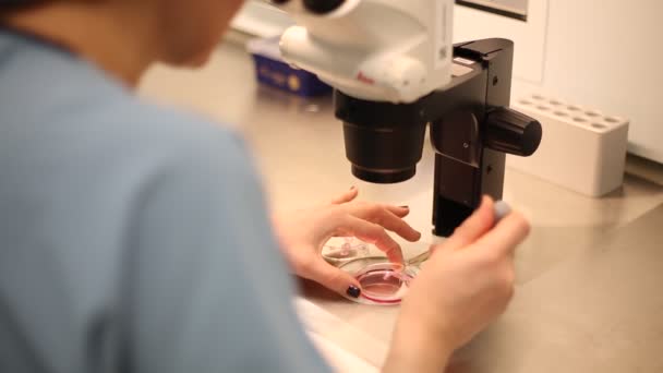 Stanbul Turkey Ocak 2019 Laboratuvarda Tıbbi Araştırma Suni Döllenme Laboratuvarı — Stok video