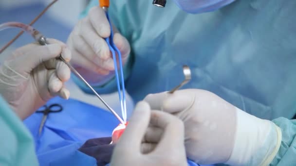 445 Rhinoplasty Videos, Royalty-free Stock Rhinoplasty Footage | Depositphotos 445 Rhinoplasty Videos, Royalty-free Stock Rhinoplasty Footage | Depositphotos