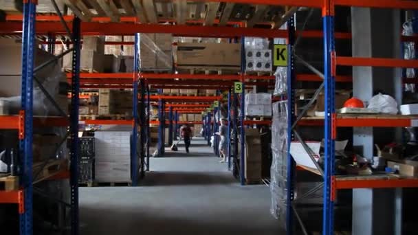 Kyiv Ukraine June 2022 Industrial Warehouse Warehouse Trade Organization Goods — Stock Video