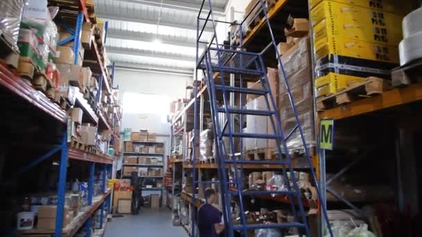 Kyiv Ukraine June 2022 Industrial Warehouse Warehouse Trade Organization Goods — Stock Video