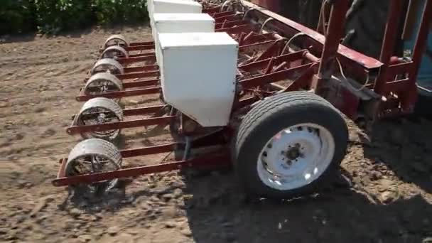 Forage Legumes Growing Legumes Field Agriculture Harvest Season — Video