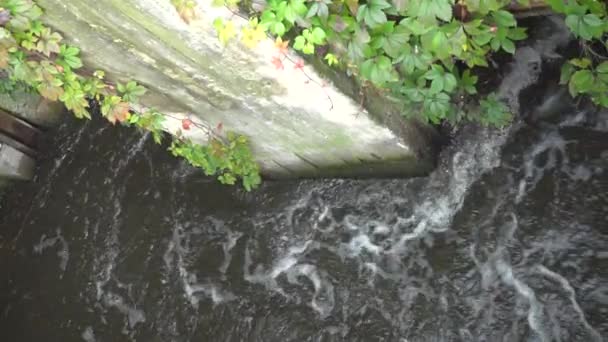 Esgoto Drenar Fezes Limpeza Esgotos Purificação Água Dos Resíduos Humanos — Vídeo de Stock