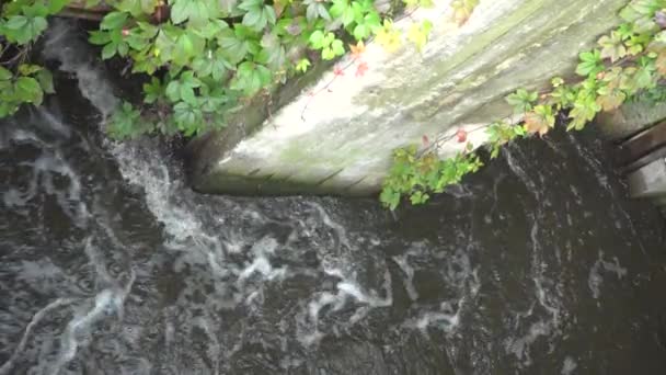 소름끼친다 분변을 그리는 하수구 하수구를 청소하는 폐기물로부터 정화하는 똥물이야 된물에 — 비디오