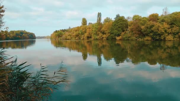 Осенняя Природа Берегах Южного Жука Спокойный Поток Реки Отражение Воде — стоковое видео