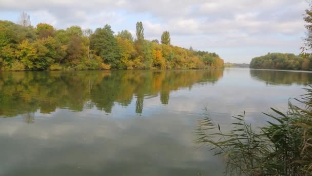 美丽的秋天河流 南方虫群海岸上的秋天大自然 在空中和树上的倒影 乌克兰的天性南方虫群海岸上美丽的大自然 — 图库视频影像