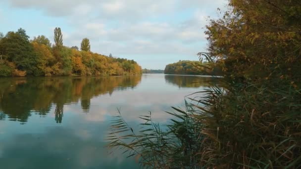 Прекрасна Осіння Річка Спокійний Потік Річки Відбиття Воді Небесних Дерев — стокове відео