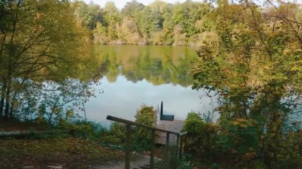 Herfst Natuur Aan Oevers Van Zuidelijke Wants Kalme Stroming Van — Stockvideo