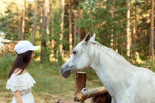 Girl Pine Forest Background Horses — Stock Photo, Image