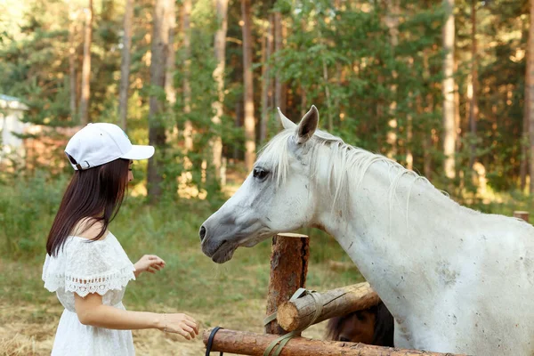 馬を背景に松林の中の少女が — ストック写真
