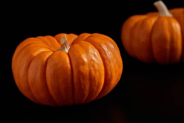 Siyah arkaplanda dekoratif mini balkabağı.