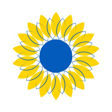 Açık arkaplanda Ukrayna bayrağı renginde bir ayçiçeğinin vektör çizimi