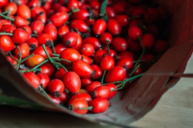 Kese kağıdında taze gül kalçaları, arka plan gülü