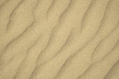 Kahverengi kum dokusu yakın çekim. Kum tepesi. Üst görünüm.